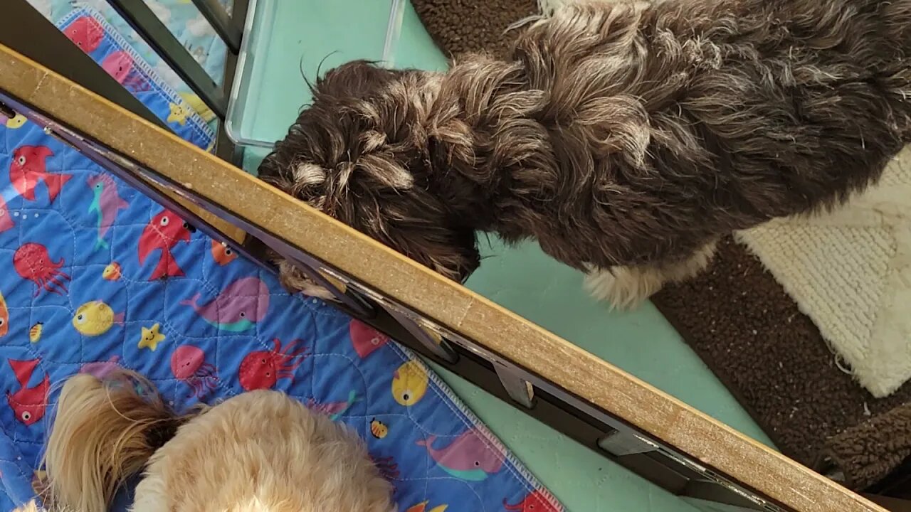 4/11.. A Short Video