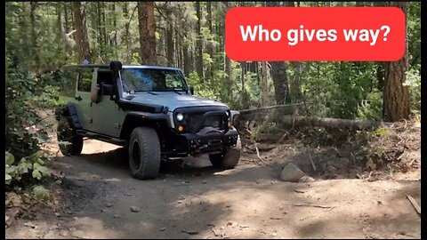 ✨️Oncoming group in a 1 lane trail✨️🌲🚙🌲