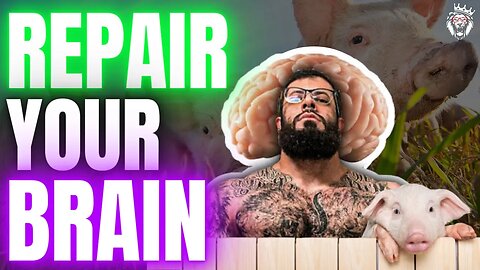 How to Repair Your Brain with Growth Hormones: The Power of Cerebrolysin