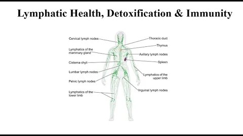 Lymph System Supplements - Health, Detoxification & Immunity