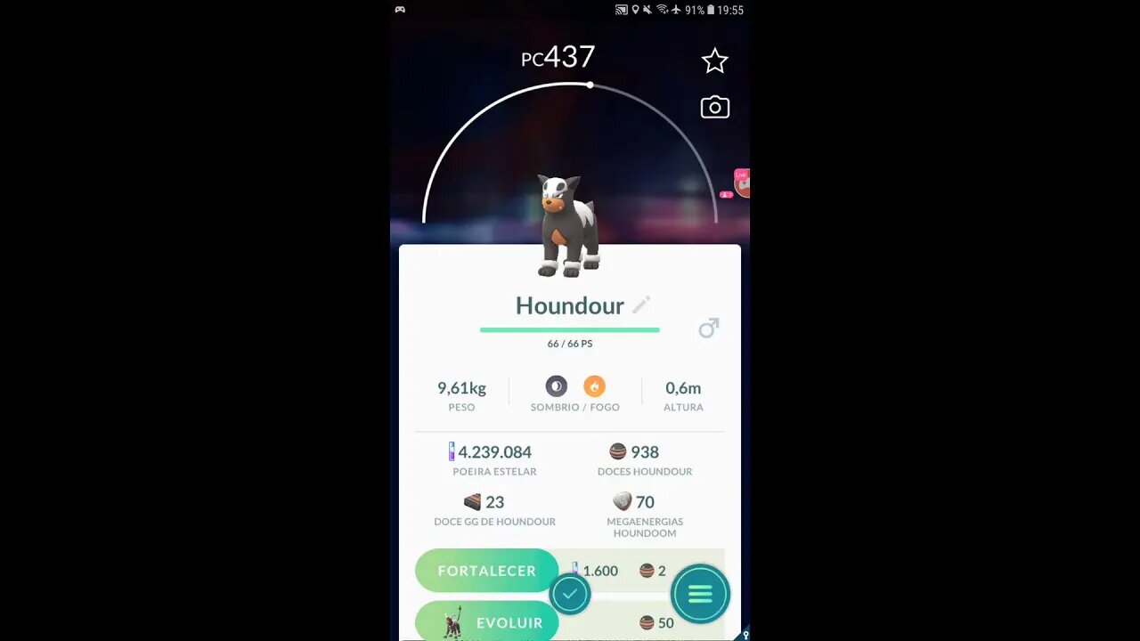 Veja a minha live de Pokémon GO