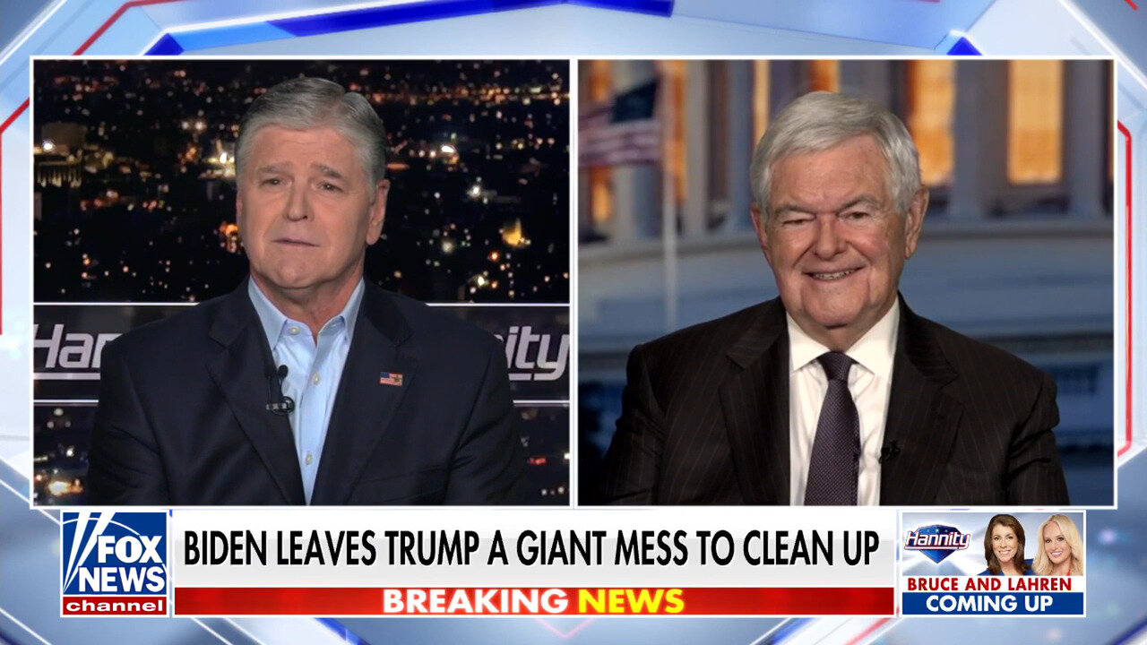 Newt Gingrich Reveals Why Kamala Harris Brought Him 'Joy' Post-Election