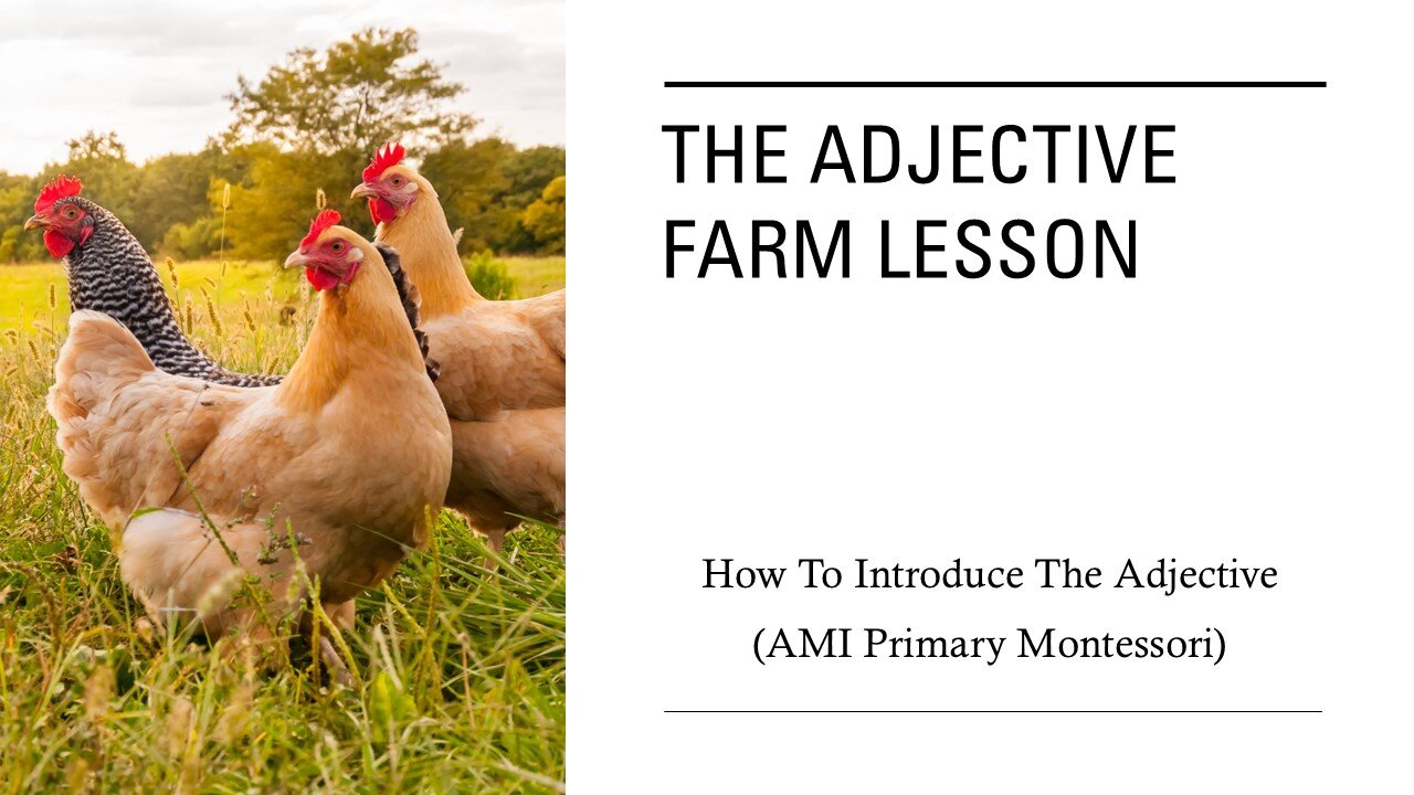 The Adjective: Lesson 2 From the Function of Words Series (The Farm Lesson)