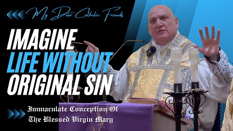 Imagine Life Without Original Sin | Immaculate Conception Of The Blessed Virgin Mary (2024)
