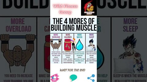 🔥The 4 more of building muscle🔥#shorts🔥#wildfitnessgroup🔥8 August 2022🔥