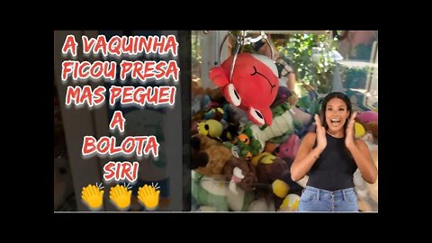 A VACA 🐄 FICOU ENROSCADA E PEGUEI A BOLOTA SIRI 👏😱👏
