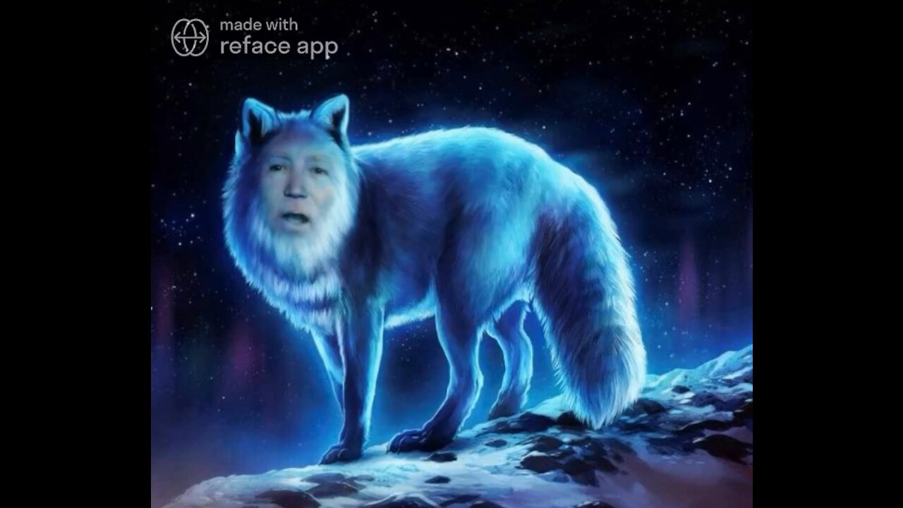 The Ultimate Joe Biden Fox Meme! 🦊