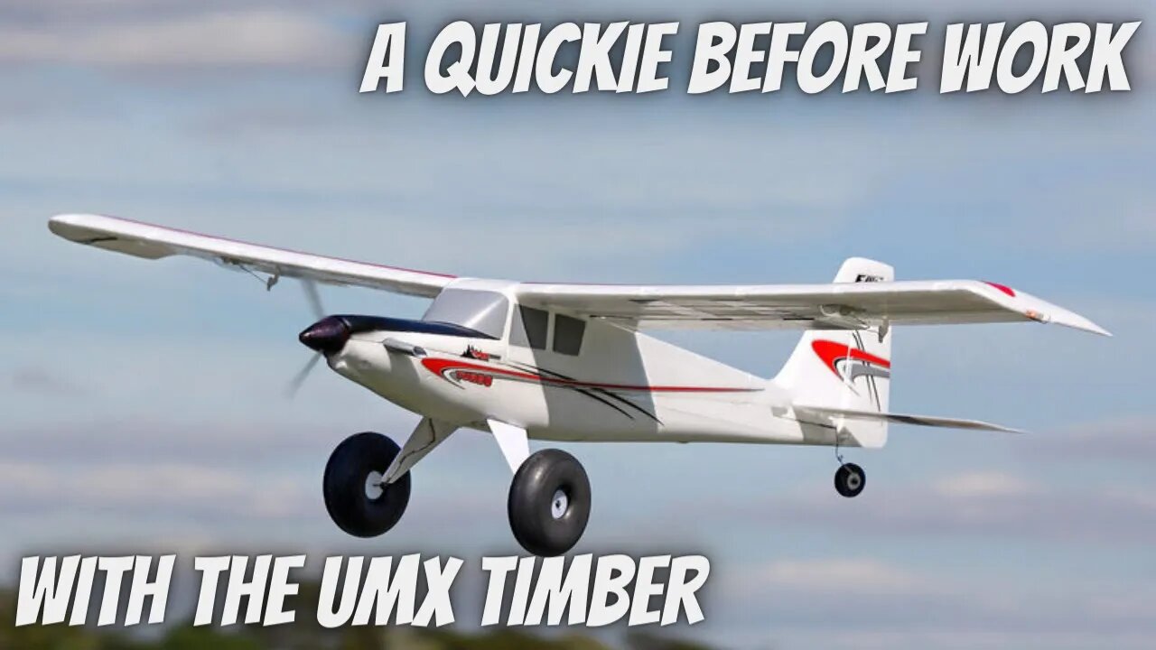 A Quickie Before Work With The UMX Timber!