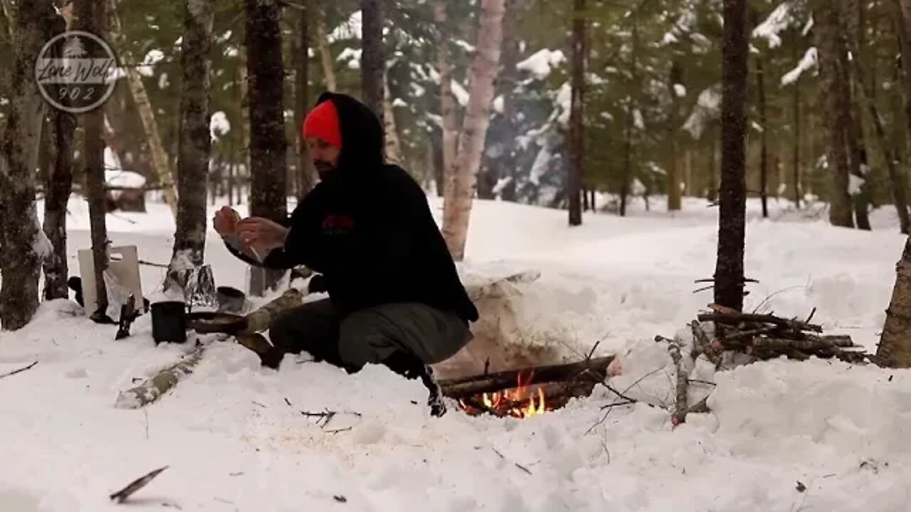 Camp in a hammock in winter 20