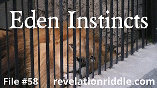 Eden Instincts - SLAVERY | CAPTIVE BREEDING | KINGDOM AGE