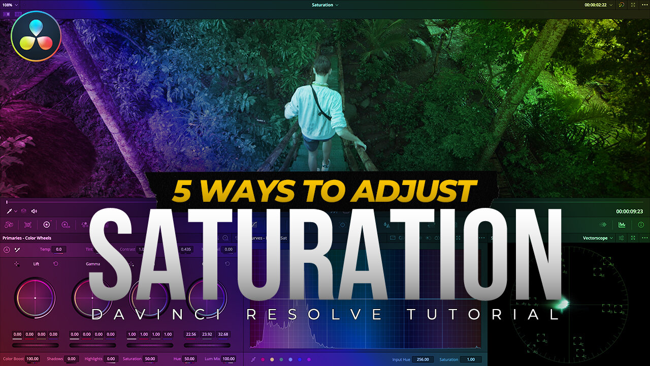 Use These Methods for Adjusting Saturation in Davinci Resolve 18