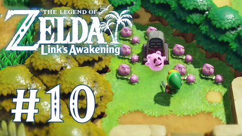 The Legend of Zelda: Link's Awakening (2019) - Ghost Needs A Guide