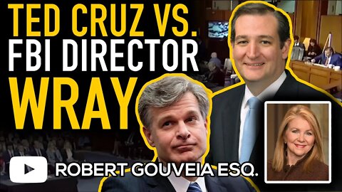 Ted CRUZ vs. FBI Director WRAY on "Militia Symbols" and IGNORING REAL Threats