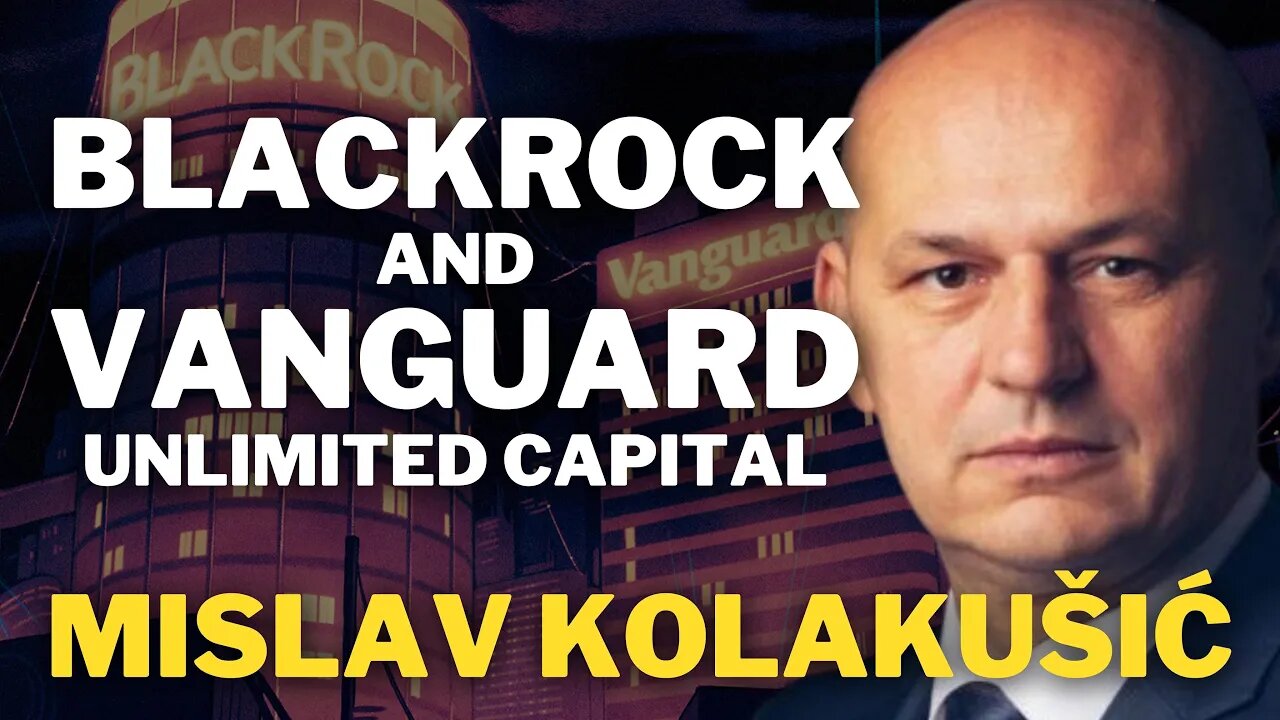 Blackrock And Vanguard Own The Economy | Mislav Kolakušić