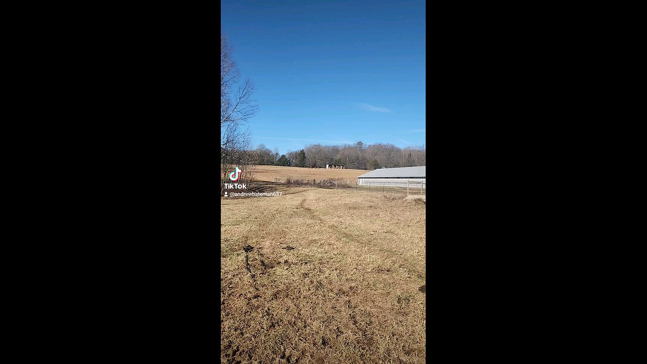 Happy cows and calves.