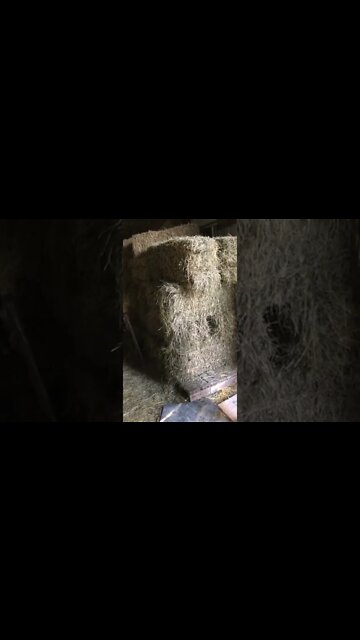 Heay #jokes #dadjokes