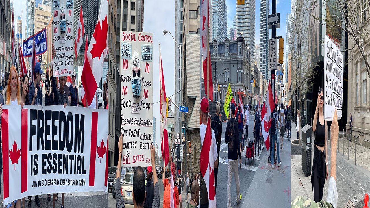 Raw Video: Toronto weekly freedom rally