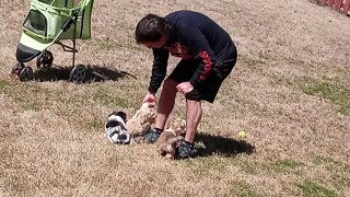 K Litter - Days Away From Going Home(2)