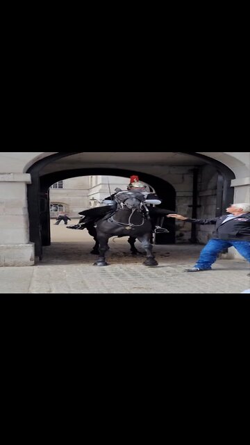 Tourist holds horse reins female guard shouts get back #horseguardsparade