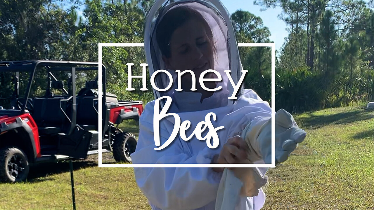 Free Honey Bees and the Problems Associated