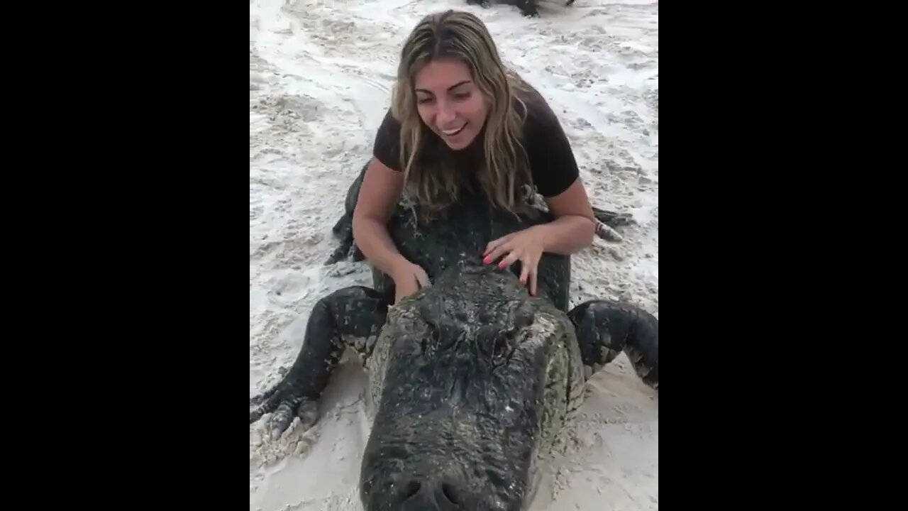 Riding a gators