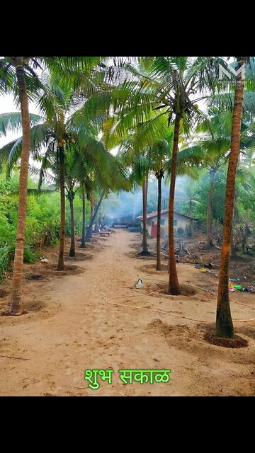 5 Minutes to Change Your Morning- Guided Meditation