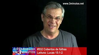 #532 Cobertos de folhas - MÁRIO PERSONA