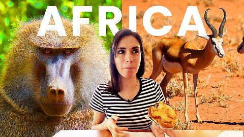 Garden Route Journey From Cape Town to Addo Elephant Park TINY HOUSE TOUR