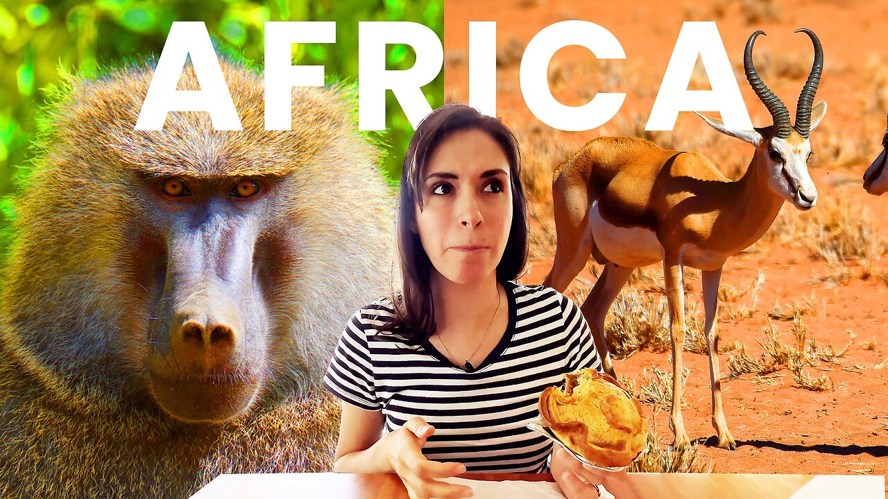 Garden Route Journey From Cape Town to Addo Elephant Park TINY HOUSE TOUR