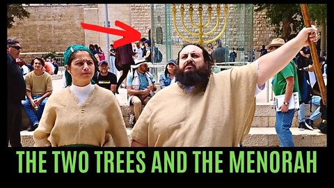 THE TWO TREES AND THE MENORAH 🌳🕎🌳