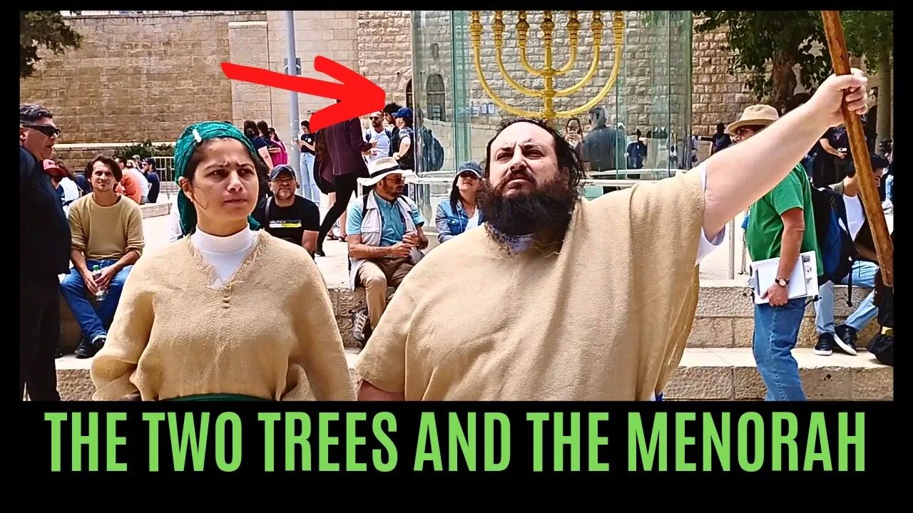 THE TWO TREES AND THE MENORAH 🌳🕎🌳