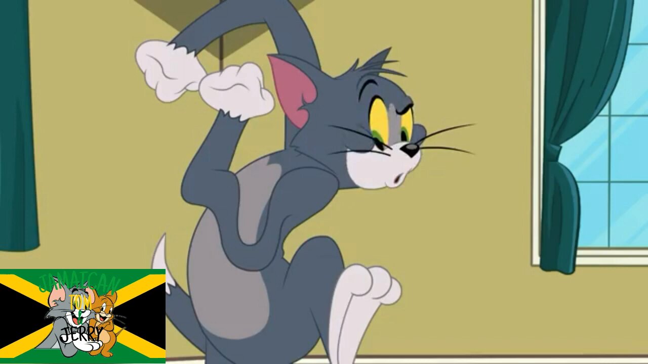 Tom & Jerry / new video/ cartoon/