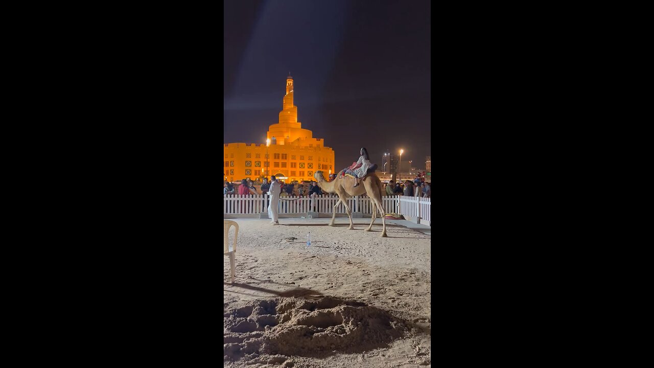 Souq Wariq Camel