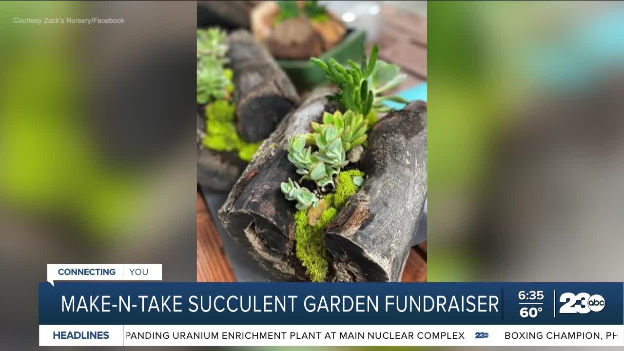 Make-N-Take Succulent Garden Fundraiser