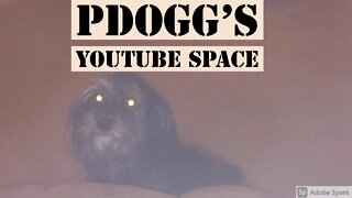 Jose PDOGG Live Stream