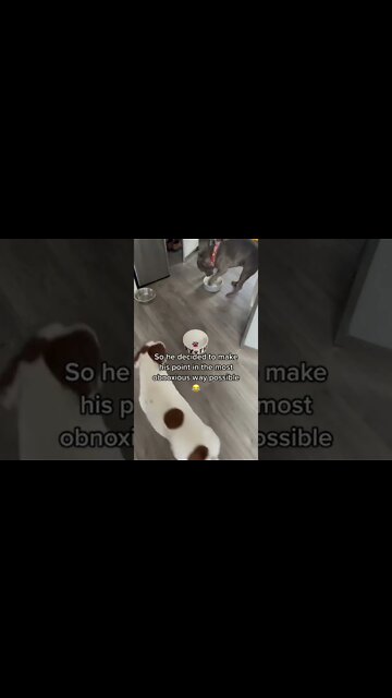 Such a aggressive way of telling me, that I'm too slow