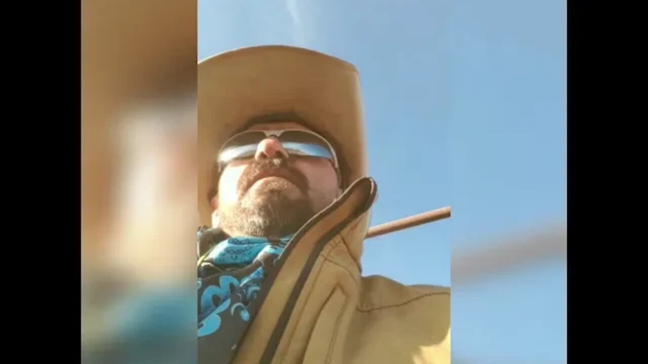 Low Stress Cattle Handling