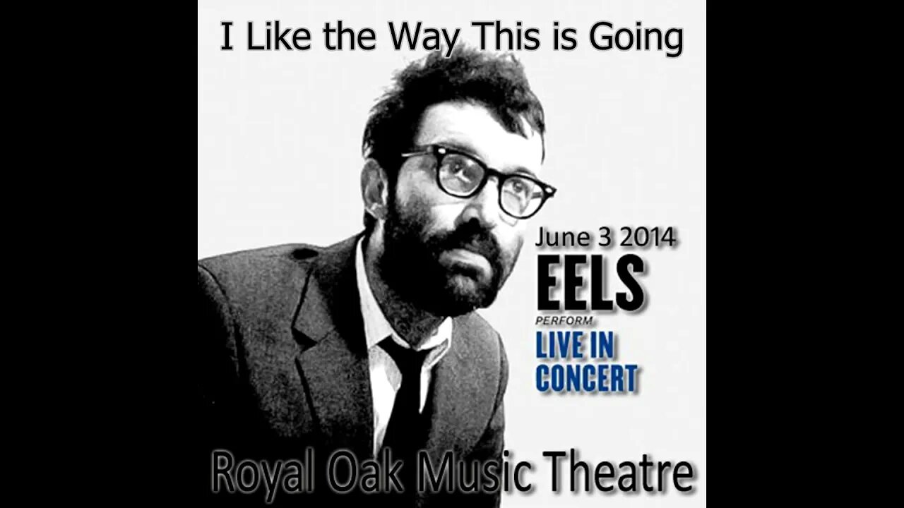 Eels - I Like the Way This Is Going