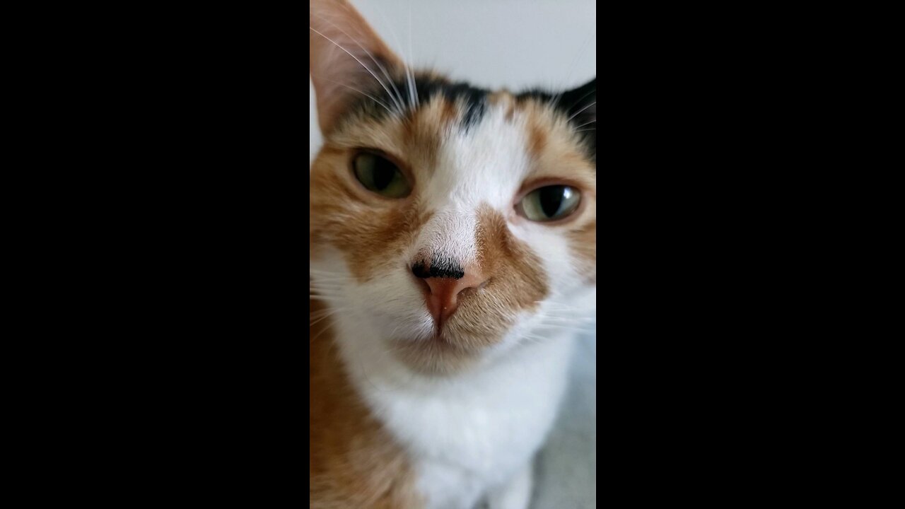 So darn adorable.