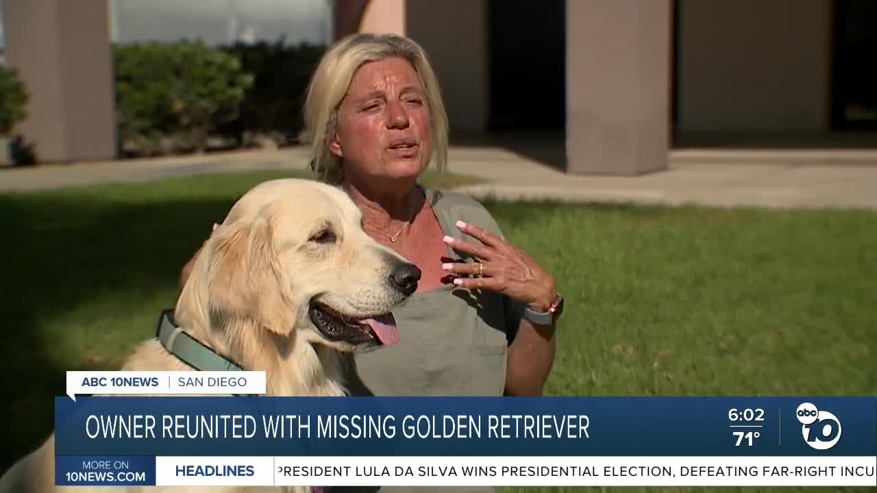 Encinitas woman reunited with golden retriever weeks after dognapping