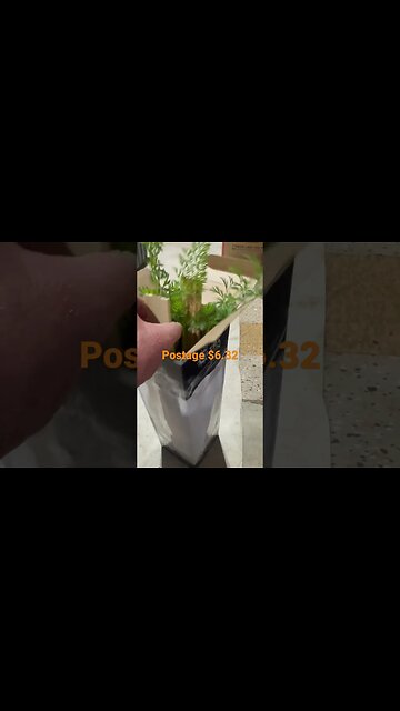 Shipping Plants #bubba #carrot #plants #diy