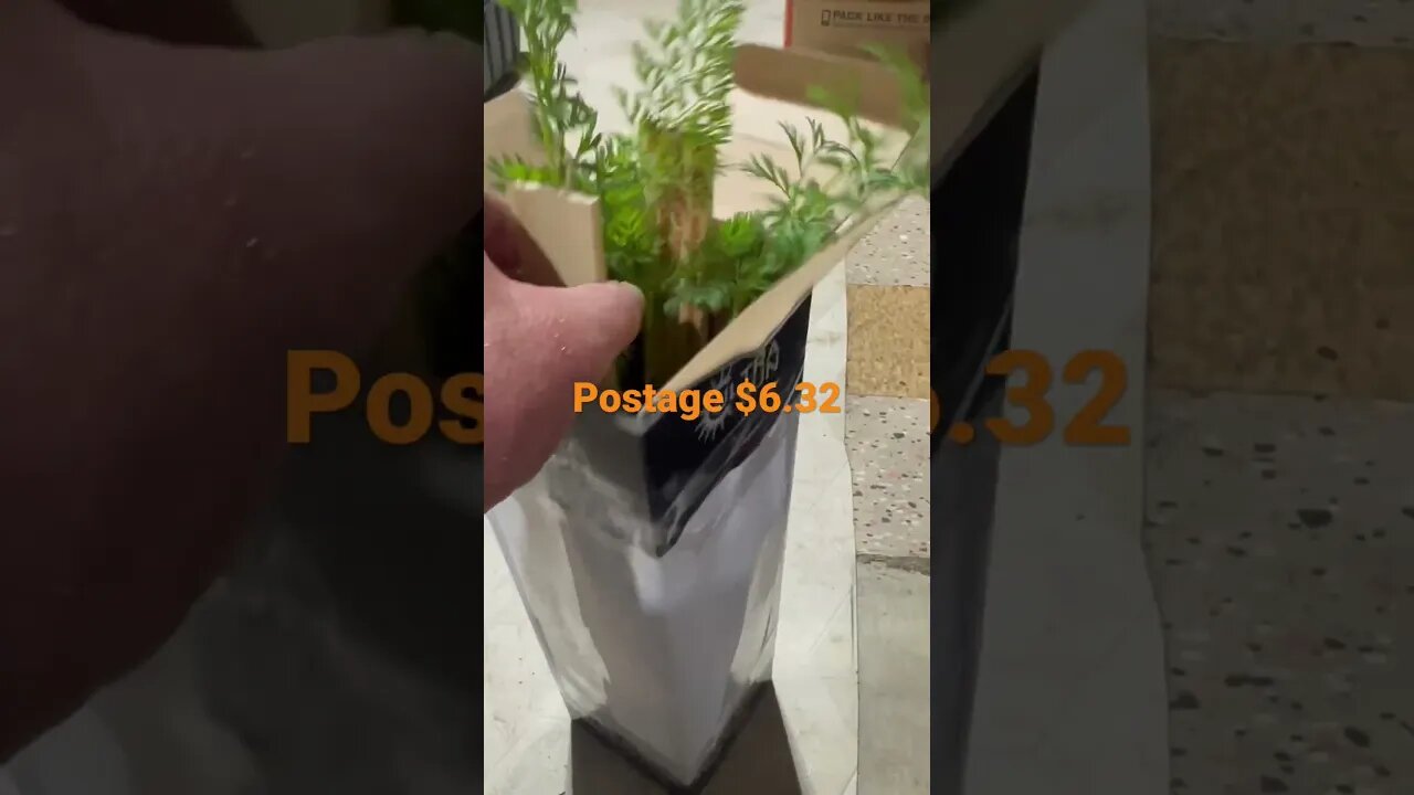 Shipping Plants #bubba #carrot #plants #diy