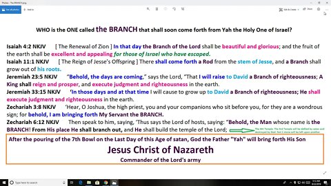 The Branch