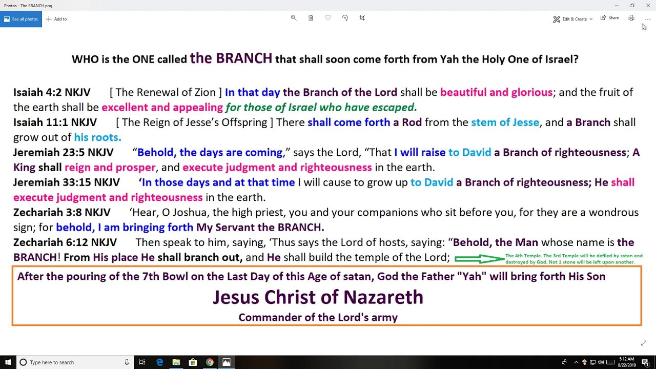 The Branch