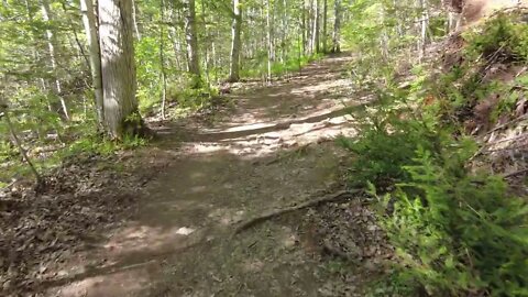 Hiking Through Bonshaw Hills Trails