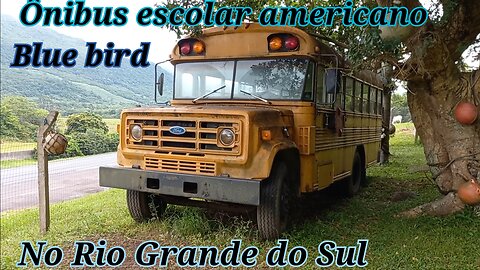 blue bird ford1987 american school bus in rio grande do sul