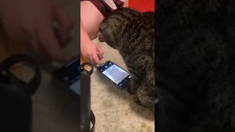 it's #the #one #and #only #selfie D-O double G #memedodoubleg