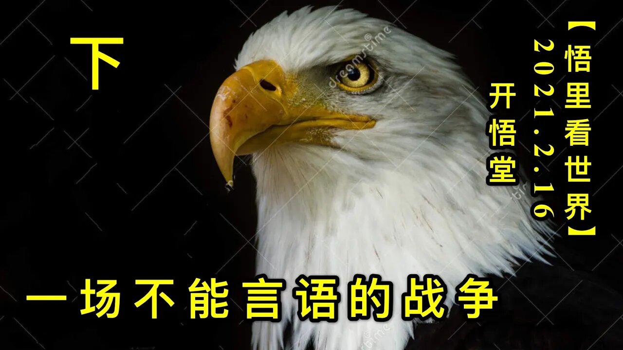 KWT1089(下)一场不能言语的战争20210216-8【悟里看世界】