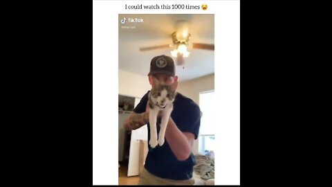 Cat owner made a catgun 🔥