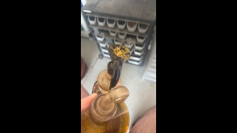 Day 69 I’ll find a different song to play later